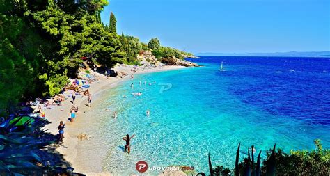 Murvica Beach, Murvica (Bol) (Brač) | Beach, Trip planning, Brac