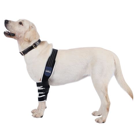 Buy LufeLux Dog Elbow Protector, Padded Elbow Brace for Canine ...