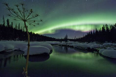 Yukon Tourism and Travel: Best of Yukon - TripAdvisor