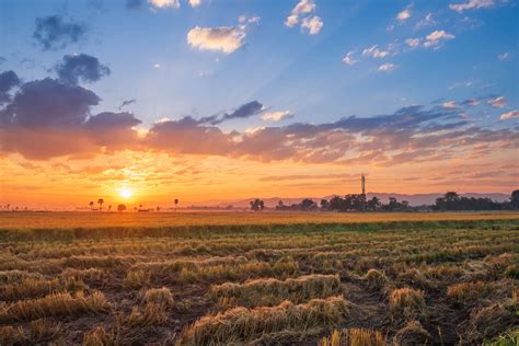 Farm Sunset Stock Photos, Images and Backgrounds for Free Download