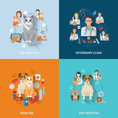 Animal Hospital Vector Art, Icons, and Graphics for Free Download