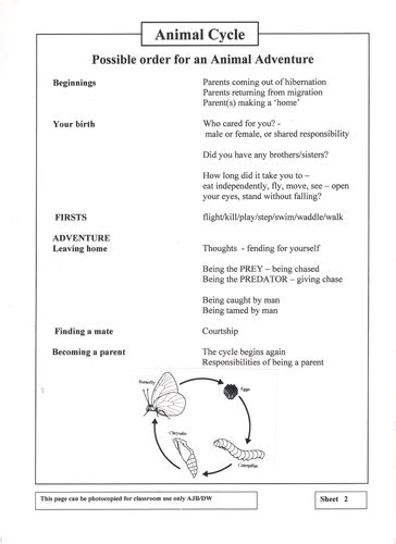 Animal Story Ideas Domestic to Wild | Teaching Resources