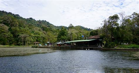 Selva Negra - A Relaxing Mountain Resort and Coffee Farm - Battered ...