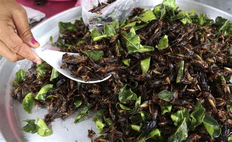 The Intriguing Allure of Eating Crickets « Food Hacks :: WonderHowTo