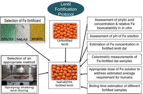 Nutrients | Free Full-Text | Iron Fortification of Lentil (Lens ...