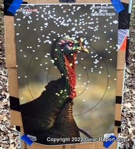 Verdict Ammunition TSS Turkey Shells Review - Gear Report