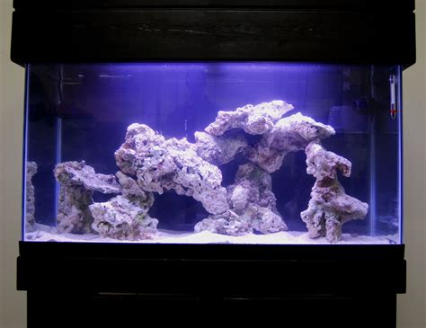 Live Rock Aquascape Designs Live Rock Set Up Idea Fish Tank For The ...