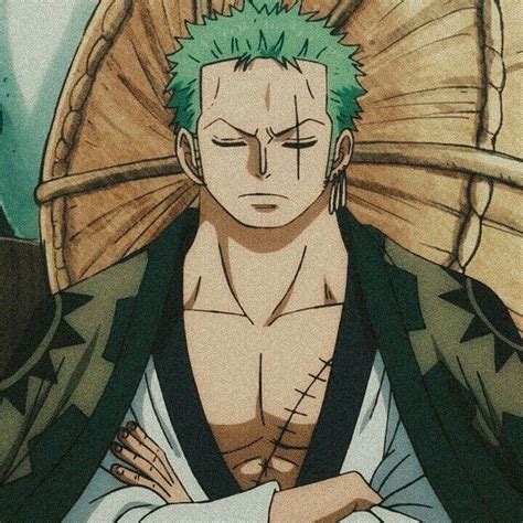 Roronoa Zoro | Manga anime one piece, Zoro one piece, One piece cartoon