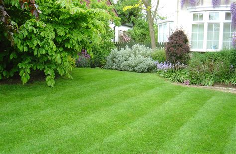 How to care for a lawn | HireRush Blog