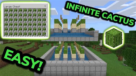 Minecraft Cactus Farm Schematic