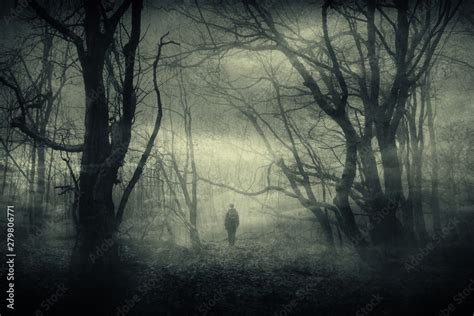 horror forest landscape, surreal haunted woods with scary silhouette at ...