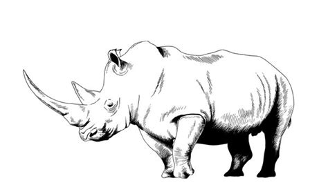 Rhino Outline Tattoo