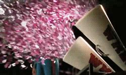 Confetti Canon GIF - Glee Jane Lynch Confetti - Discover & Share GIFs