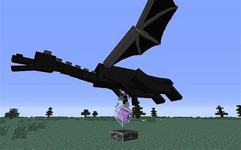 How I can have an EnderDragon as a pet? Minecraft Blog