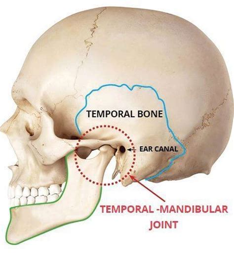 TMJ Disorders | Waverley Park Dental Care