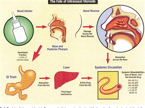 The Safety of Intranasal Steroids | Semantic Scholar