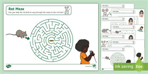 Rat Maze Activity Worksheets | Twinkl | Puzzles | KS1