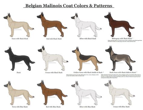 Belgian Malinois Coat Colors and Patterns by xLunastarx on DeviantArt ...