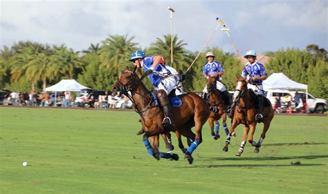 World Polo League