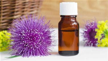 The Benefits and Uses of Burdock Root Oil for Hair