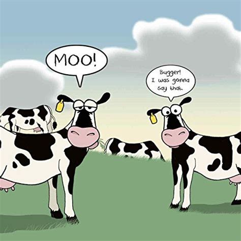 Happy Birthday Cow, Funny Birthday Cards, Birthday Humor, Funny Long ...