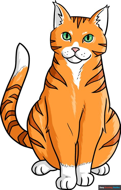 How to Draw an Orange Tabby Cat - Really Easy Drawing Tutorial