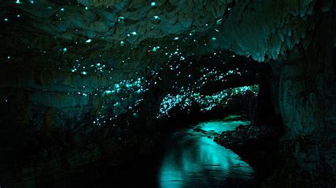 Online crop | HD wallpaper: cave, water, night, Waitomo Glowworm Caves ...