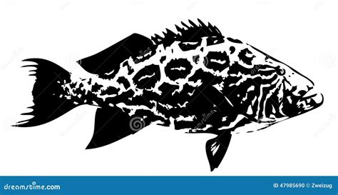 Sea Grouper Vector Illustration | CartoonDealer.com #13737450