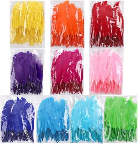 Amazon.com: Coceca 500pcs Colorful Goose Feathers for Crafts : Arts ...