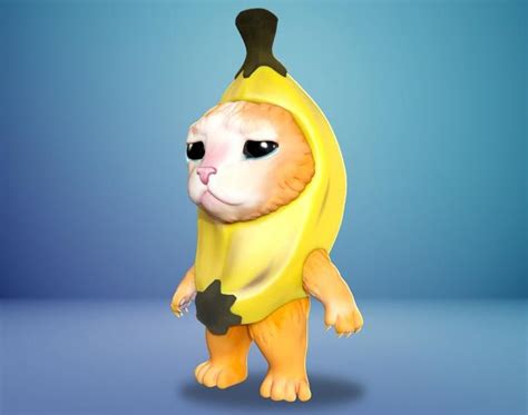 Sad cat in banana suit | Sad Banana Cat | Know Your Meme