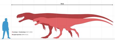 Megalosaurus: size chart by AlternatePrehistory | Prehistoric animals ...