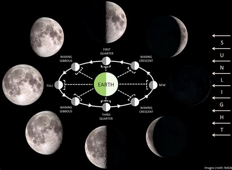 Waxing Quarter Moon Diagram