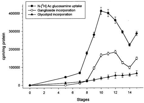 Biosynthesis of neutral glycosphingolipids and gangliosides during ...