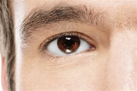 Brown-Eyed Guys Seem More Trustworthy, Study Suggests | Live Science