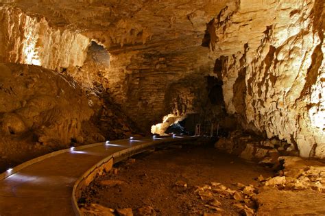 The Mystical Glow Worm Caves Of Waitomo, New Zealand