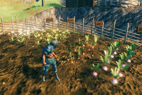 Valheim planting seeds and farming - Polygon