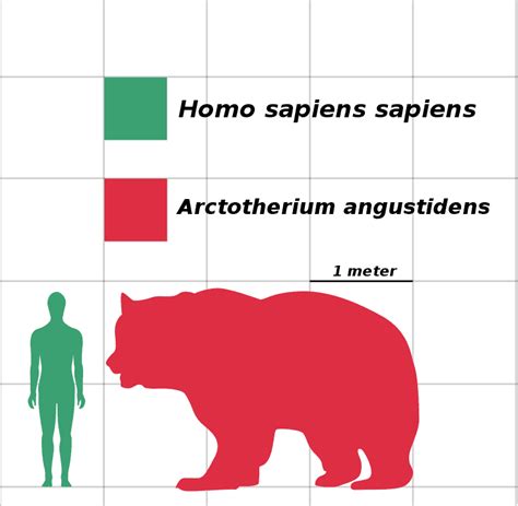 What Did the Largest Bear Ever Eat To Feed Its 3,500-Pound Body? - A-Z ...