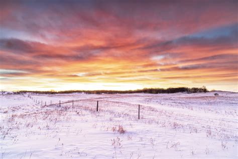 Winter Sunrise in the Sheyenne National Grasslands - Photo - Shop North ...