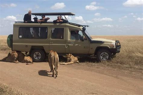 Private Serengeti National Park Safari from Zanzibar 2024 - Zanzibar City