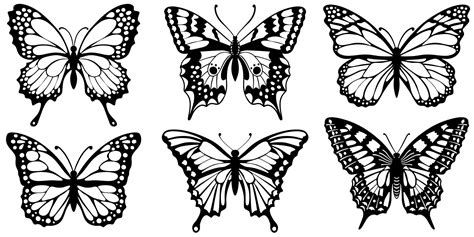 Drawing black silhouettes of butterflies on a white background 5937582 ...