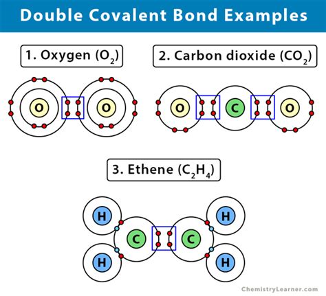 Double Covalent Bond: Definition and Examples