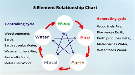 The 5 element personality types - Wood, Fire, Earth, Metal, and Water ...