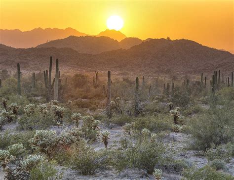 Sonoran Desert AZ | Desert photography, Sonoran desert, Desert landscaping