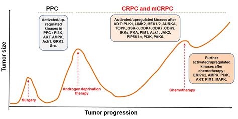 Pharmaceutics | Free Full-Text | Choosing Kinase Inhibitors for ...