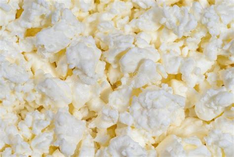 Loose sour milk cheese stock photo. Image of organic - 252181288