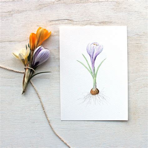 Crocus Watercolor Print - Purple – Trowel and Paintbrush