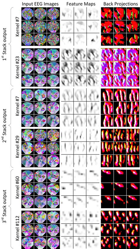 Visualization of feature maps and their input activation patterns at ...