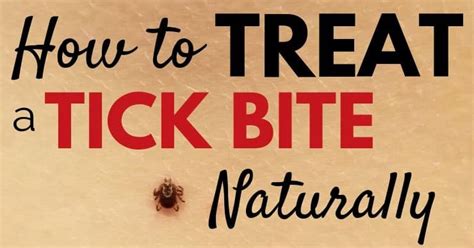 Lyme Blaster A Natural Treatment For Tick Bites Raw Dog Food And ...