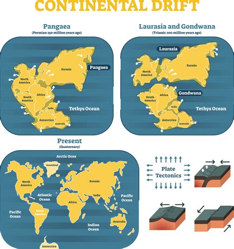 Continental Drift Theory By Alfred Wegener