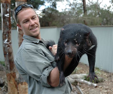 Scientists Sequence Endangered Tasmanian Devil's Genome | Eberly ...